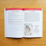 Bible in a Year Companion, Volume III