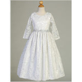 Sleeved Lace Dress with Silver Trim