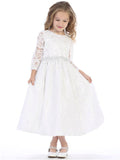 Sleeved Lace Dress with Silver Trim