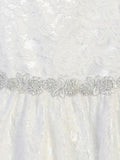 Sleeved Lace Dress with Silver Trim