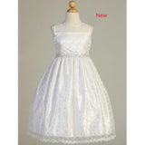 Sleeveless Lace Dress with Silver Trim