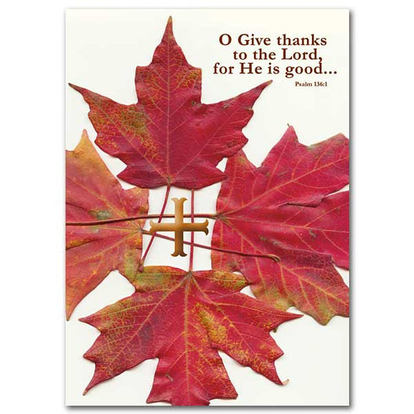 Give Thanks to the Lord Thanksgiving Card