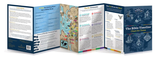 The Bible Timeline Chart for Teens