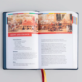 The Great Adventure Catholic Bible for Young Beginners Level 1