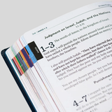 The Great Adventure Catholic Bible for Young Beginners Level 1