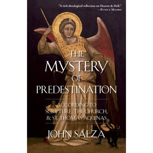 The Mystery of Predestination