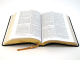 The Douay-Rheims Bible Leatherette