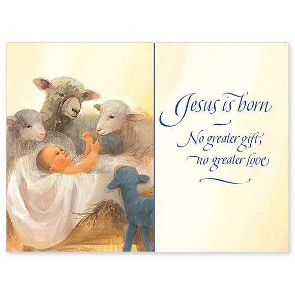 Sheep and Baby Jesus in Manger Christmas Card