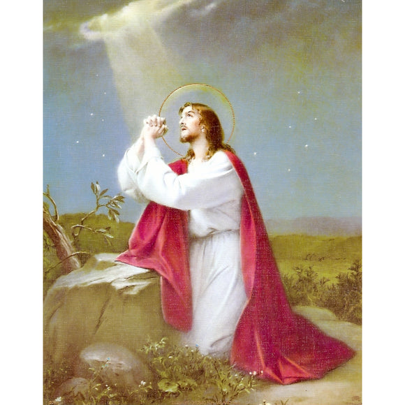 Jesus at Mt. Olive 8x10 Carded Print