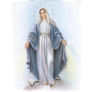Our Lady of Grace 8x10 Carded Print