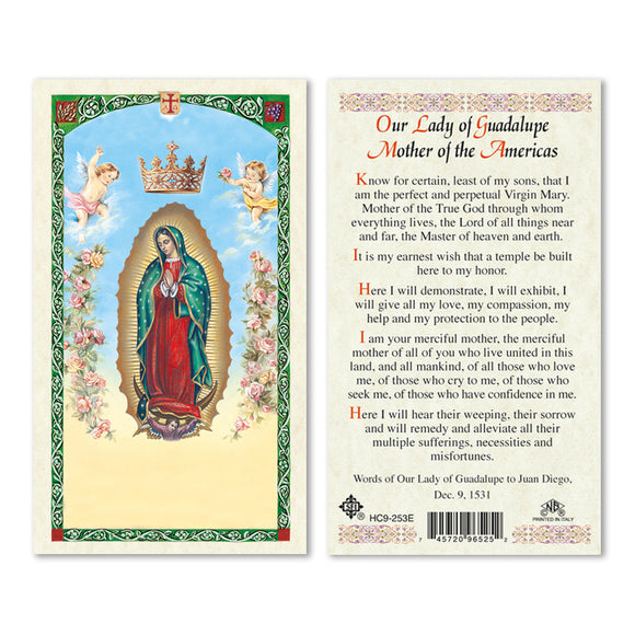 Our Lady of Guadalupe Mother Of The Americas