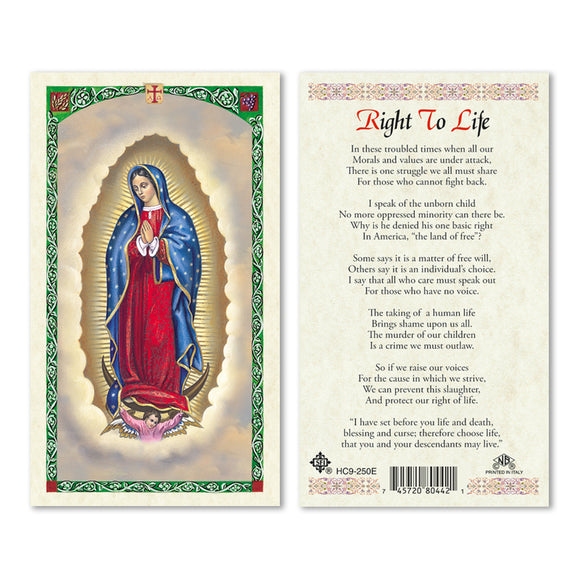 Our Lady of Guadalupe Right To Life - English