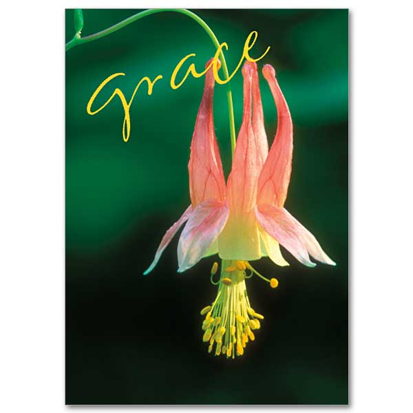 Grace グレース　洋書 Grace